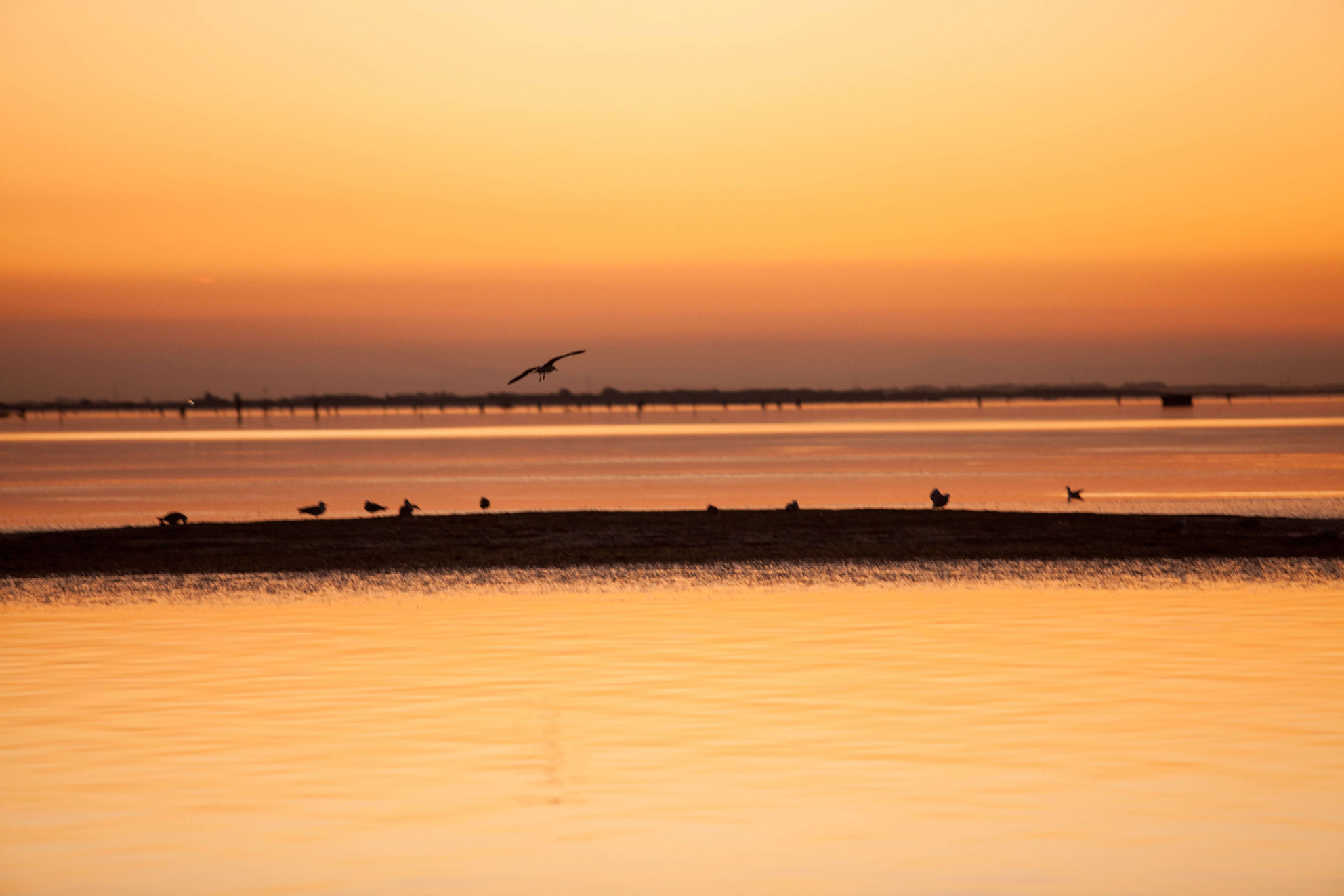 02 tramonto barena small