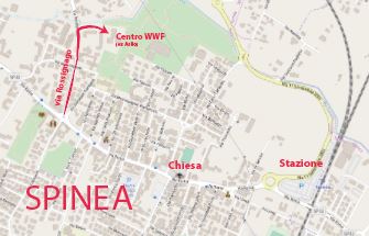 mapSpineafew
