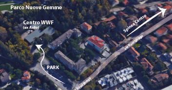 map 1 wwf Spineafew